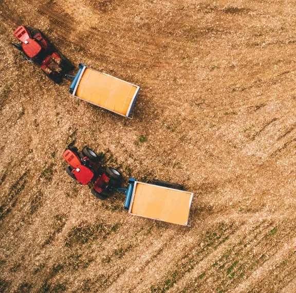 Virtual Reality (VR) is emerging as a valuable tool in the agrifood sector, offering new ways to improve training, planning, and farm management. In New Zealand, where agriculture plays a major role in the economy, VR technology is helping farmers and agribusinesses visualise operations, test scenarios, and improve decision-making without disrupting real-world production.