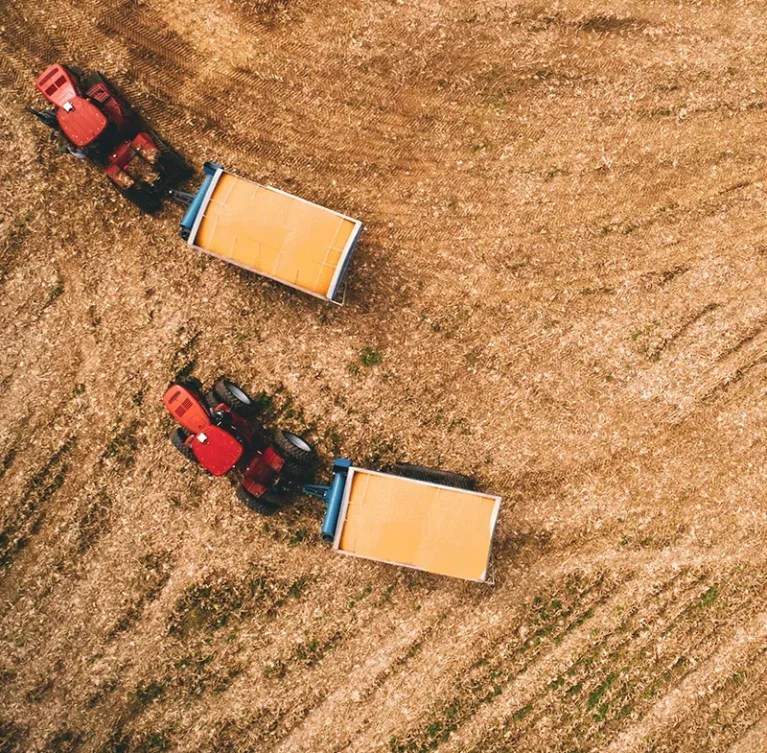 Virtual Reality (VR) is emerging as a valuable tool in the agrifood sector, offering new ways to improve training, planning, and farm management. In New Zealand, where agriculture plays a major role in the economy, VR technology is helping farmers and agribusinesses visualise operations, test scenarios, and improve decision-making without disrupting real-world production.