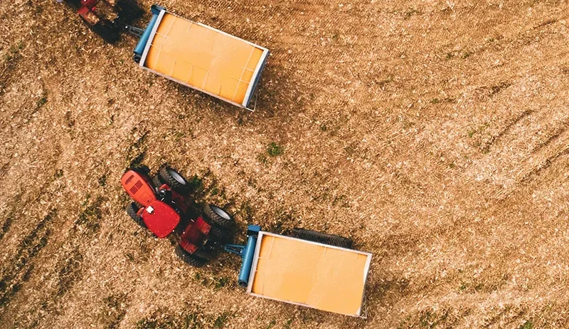 Virtual Reality (VR) is emerging as a valuable tool in the agrifood sector, offering new ways to improve training, planning, and farm management. In New Zealand, where agriculture plays a major role in the economy, VR technology is helping farmers and agribusinesses visualise operations, test scenarios, and improve decision-making without disrupting real-world production.