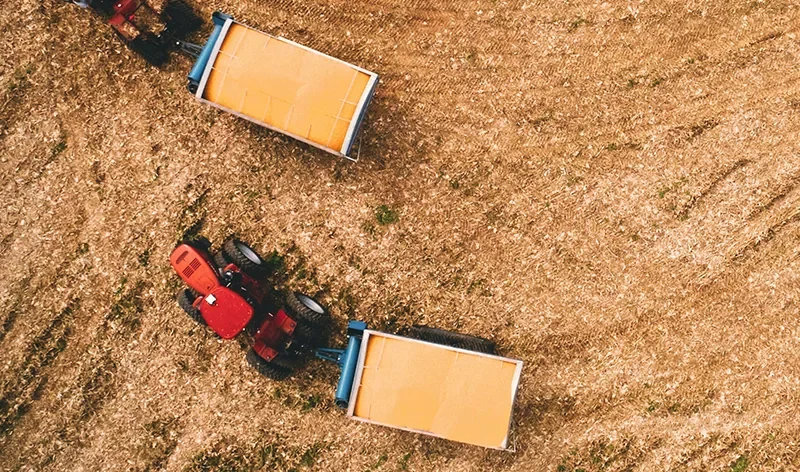 Virtual Reality (VR) is emerging as a valuable tool in the agrifood sector, offering new ways to improve training, planning, and farm management. In New Zealand, where agriculture plays a major role in the economy, VR technology is helping farmers and agribusinesses visualise operations, test scenarios, and improve decision-making without disrupting real-world production.