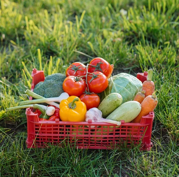 Sustainable farming is central to New Zealand’s agricultural sector, supporting food production while protecting land, water, and biodiversity. By focusing on soil health, responsible water use, and environmentally sound farming methods, New Zealand farms can produce high-quality food while preserving natural resources for future generations.