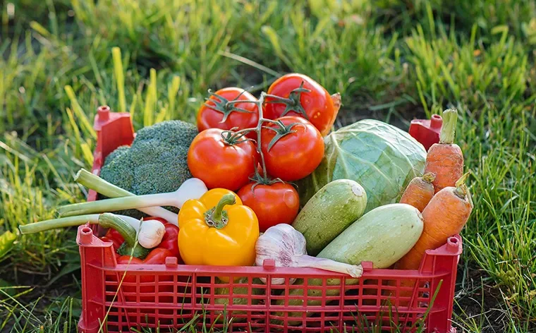 Sustainable farming is central to New Zealand’s agricultural sector, supporting food production while protecting land, water, and biodiversity. By focusing on soil health, responsible water use, and environmentally sound farming methods, New Zealand farms can produce high-quality food while preserving natural resources for future generations.